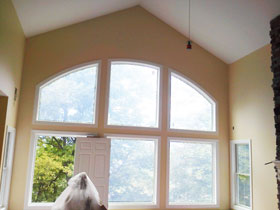 buffalo home painter